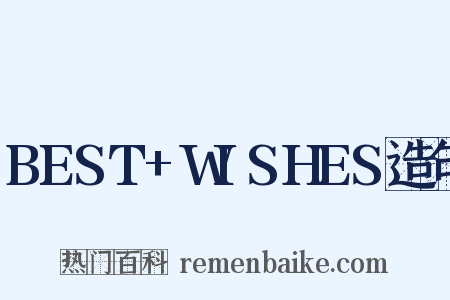 BEST+WISHES造句是什么意思的图片